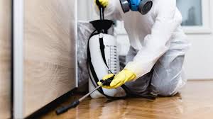 Best Pest Exclusion Services  in Corunna, MI